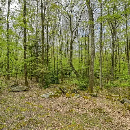 Woodsy Way Cabin